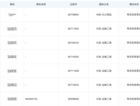 小米申请注册FU、WU等多枚商标，或为未来新车命名|界面新闻 · 汽车